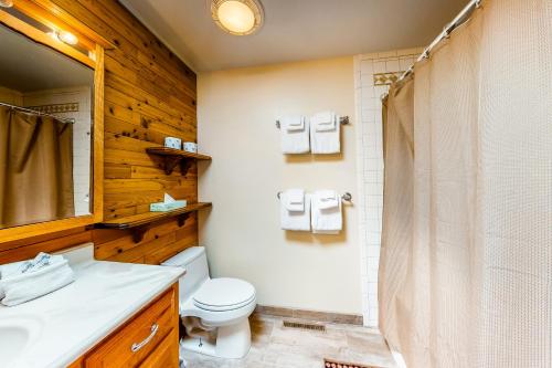 uma casa de banho com um WC, um lavatório e um chuveiro em Mountain Oasis em Woodland Park