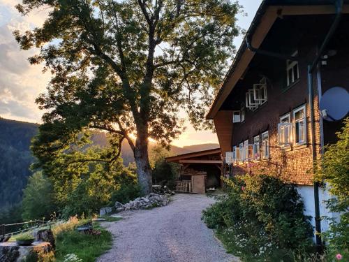 eine Schotterstraße vor einem Haus mit einem Baum in der Unterkunft Feißesberghof in Triberg