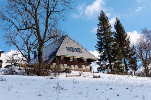 ein Haus auf einem schneebedeckten Feld mit einem Baum in der Unterkunft Feißesberghof in Triberg