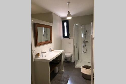 ein Bad mit einem Waschbecken, einer Dusche und einem WC in der Unterkunft Gîte de charme du Domaine Pagnon Guillemette in Torreilles