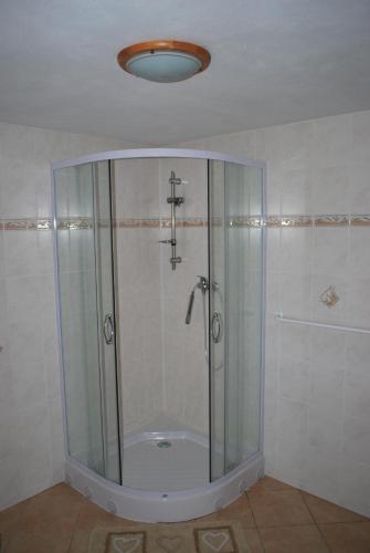 a shower with a glass enclosure in a bathroom at Penzion Pohoda in Jetřichovice
