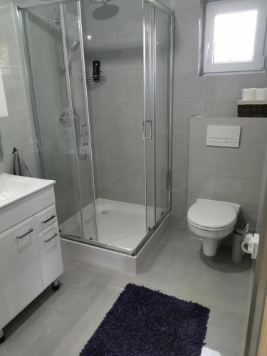 a bathroom with a shower and a toilet and a sink at DOMEK LENA ROZTOCZE in Hutki