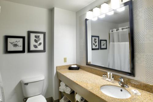a bathroom with a sink and a toilet and a mirror at Country Inn & Suites by Radisson, Oklahoma City Airport, OK in Oklahoma City
