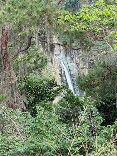 a waterfall on the side of a mountain with trees at Haus unter Palmen in Jarabacoa
