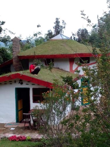 a house with a grass roof with a cow on the roof at Jardin Colibri RNT 33633 in Guatavita