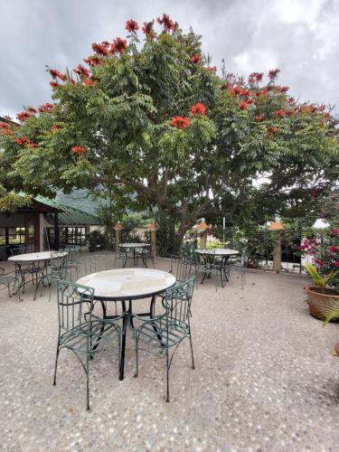 a table and chairs in front of a tree with red flowers at Perla Maya Hotel in Panajachel