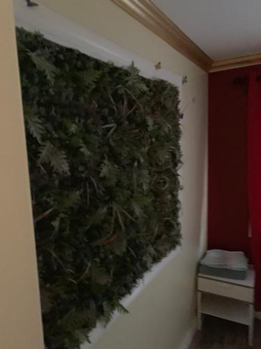 Una cama o camas en una habitación de LAX guest house
