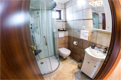 锡比乌Casa Ienciu的带淋浴、马桶和水槽的浴室