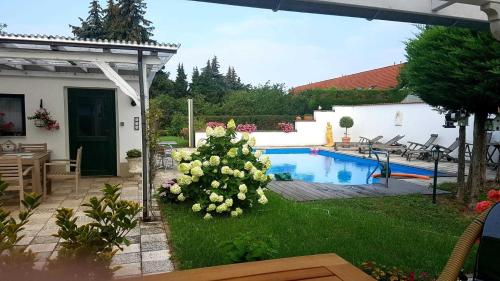 a backyard with a pool and a bush with flowers at Ferienwohnung Riemeyer in Lutherstadt Wittenberg