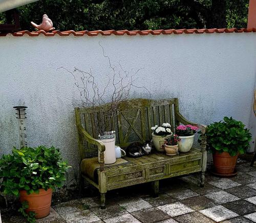 a cat laying on a bench with potted plants at Ferienwohnung Riemeyer in Lutherstadt Wittenberg