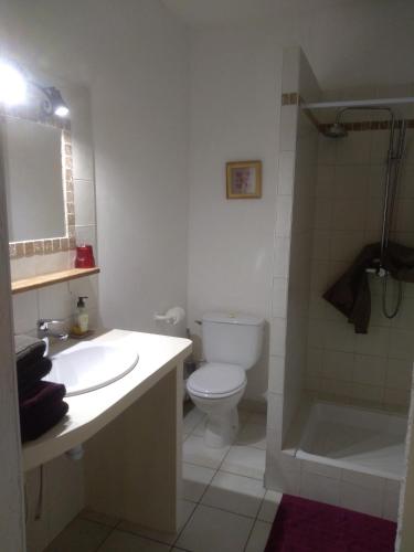 une salle de bain avec toilettes, lavabo et douche dans l'établissement chambre d'hôtes Lou Couradou, à Grospierres
