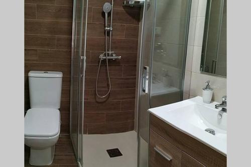 e bagno con doccia, servizi igienici e lavandino. di Casa Rural Ruplas II a Villalba de Adaja