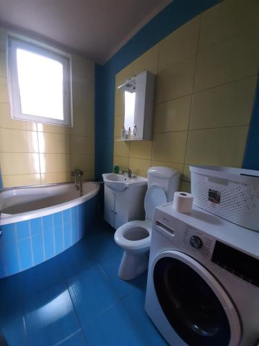 a bathroom with a toilet and a washing machine in it at Casa Horea in Oradea