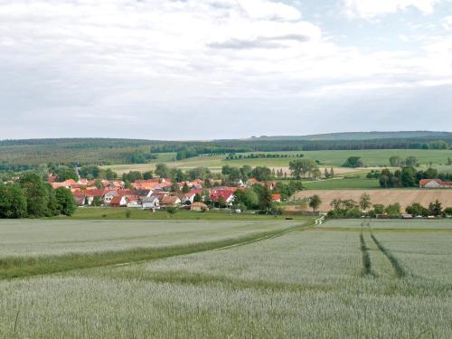 a field of crops with a town in the background at Pension Grünes Herz in Tonndorf