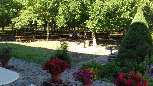 a garden with flowers in pots in a park at Andrea Sofi Guesthouse in Dimitsana