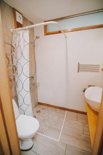 a bathroom with a shower and a toilet and a sink at City center Appartment in Valmiera