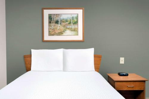 1 dormitorio con 1 cama y una foto en la pared en WoodSpring Suites St Louis Arnold en Arnold