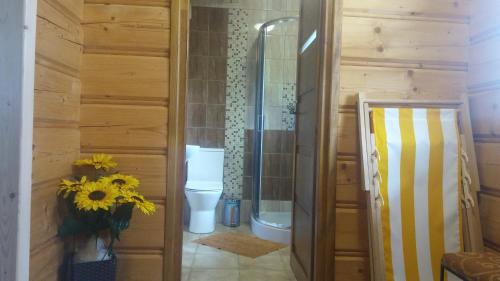 een badkamer met een toilet en een vaas met bloemen bij Domek Na kympkach in Istebna