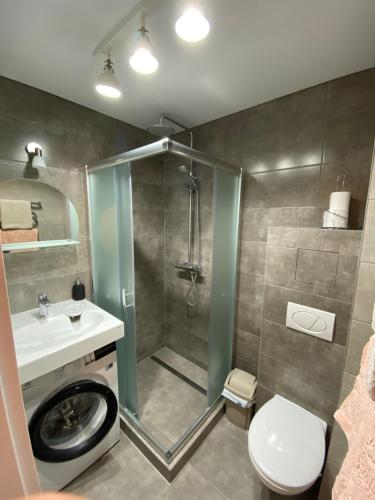 ein Bad mit einer Dusche, einem WC und einem Waschbecken in der Unterkunft Parko 443 in Panevėžys
