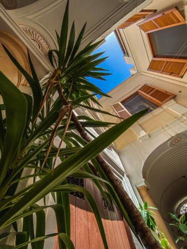 Φωτογραφία από το άλμπουμ του D'Angiò Rooms-Manfredi Homes&Villas σε Manfredonia