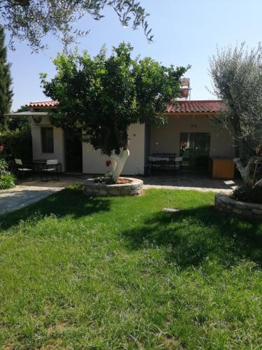 a house with a tree in the yard at Εξοχική κατοικία με κήπο στην Άβυθο, Αιγίου in Rodhodháfni