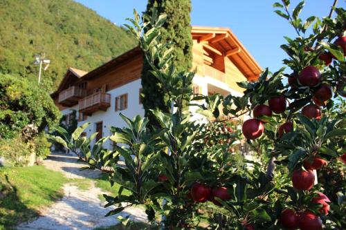 Foto dalla galleria di Greiterhof a Lana