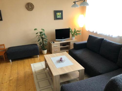 a living room with a couch and a tv at Ubytování Duškovi in Lipno nad Vltavou