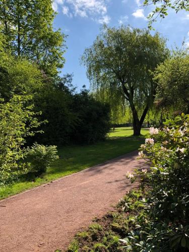 a dirt road in a park with a tree at Hotel zur Köppe in Bad Klosterlausnitz