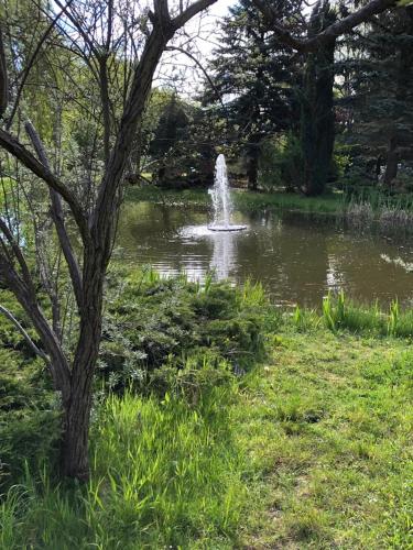 a fountain in the middle of a pond in a park at Hotel zur Köppe in Bad Klosterlausnitz