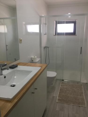 een badkamer met een wastafel, een douche en een toilet bij Quinta do Couto (alojamento local) in Celorico de Basto