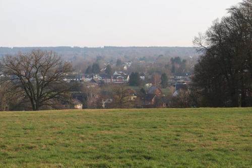 a field of green grass with a town in the background at Pension Brunnenhof in Roetgen