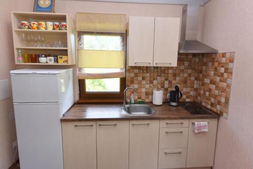 a small kitchen with a sink and a window at Vasarnamis Zarasuose in Zarasai