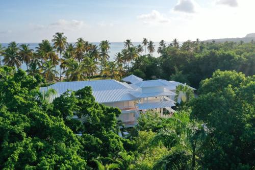a house in the middle of a forest of trees at Hotel TODOBLANCO, Las Galeras, SAMANA in Las Galeras