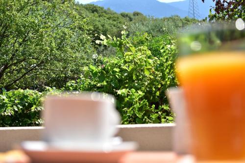 a glass of orange juice sitting on a table with vines at Evianna Studios in Mousata