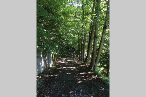 a path in the woods with trees on it at Chalet “In dai Guriuz” in Ravinis