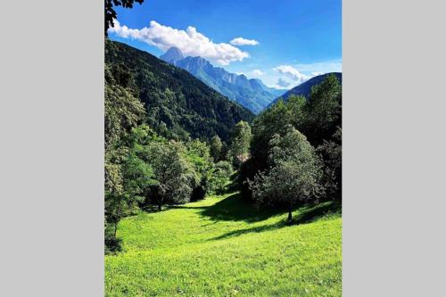 a green field with trees and mountains in the background at Chalet “In dai Guriuz” in Ravinis