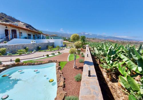 a pool in the middle of a garden at Papaya Paradise in La Orotava