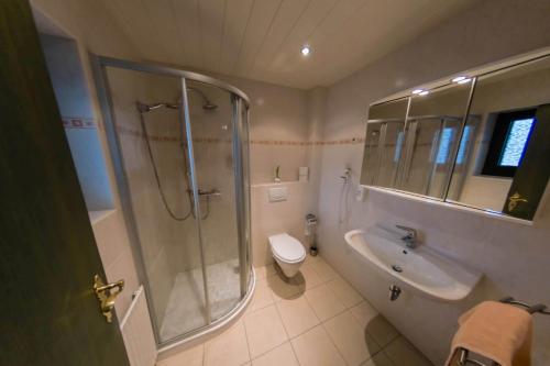 uma casa de banho com um chuveiro, um lavatório e um WC. em Hotel & Restaurant Zum Deutschen Haus em Glashütten