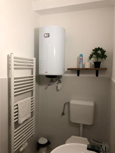 a bathroom with a toilet and a water tank at Borbély apartman in Nagykanizsa