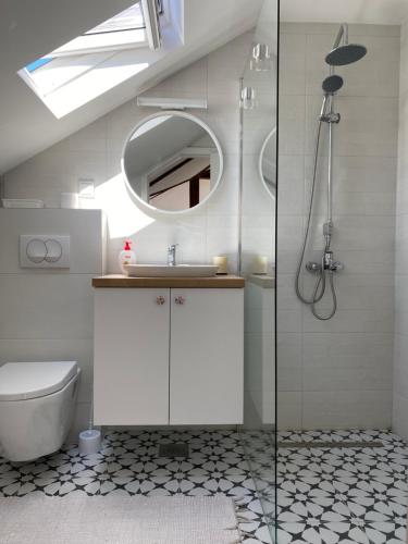 a bathroom with a shower and a toilet and a mirror at West Studio Apartment Sarajevo in Sarajevo