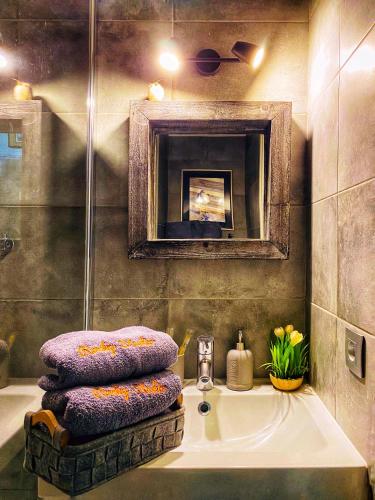 a bathroom with a sink and a shower at Rocky Studio Chamonix Sud in Chamonix-Mont-Blanc