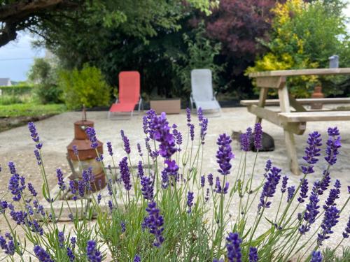 a garden with purple flowers and two chairs and a bench at La Clé de Taulé in Taulé
