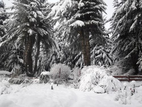 a garden covered in snow with trees in the background at Le Bouquet Apart Hotel in San Carlos de Bariloche