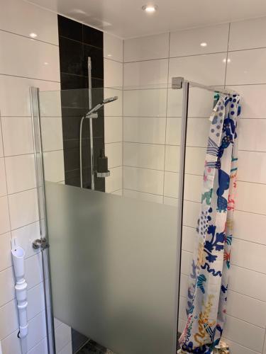 eine Dusche mit einer Glastür in einem Badezimmer in der Unterkunft Field View Nest in Lund