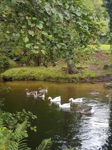 Photo de la galerie de l'établissement LA MAISON DE LOUISE, à Pierre-Percée