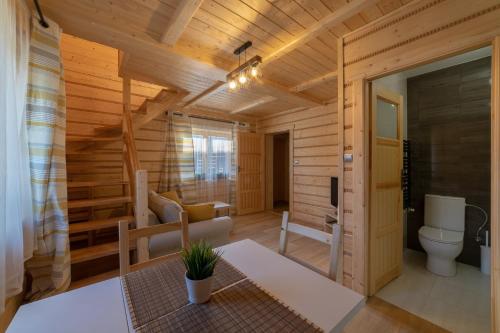 a room with a toilet in a wooden house at Markowe Domki in Szczawnica
