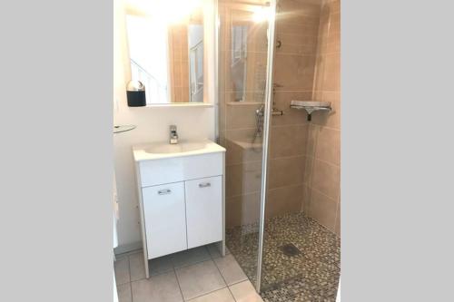 ein Badezimmer mit einem weißen Waschbecken und einer Dusche in der Unterkunft L Abricotier in Saint-Crépin