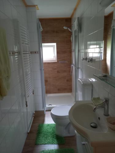 a bathroom with a toilet and a shower and a sink at Weideblick in Tauplitz