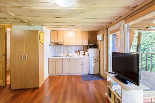 a living room with a television and a kitchen at Sodyba Brazylija in Taraldžiai