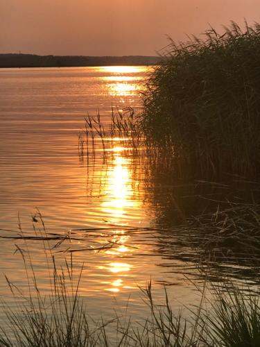 a sunset over a body of water with grass at Ferienwohnung Goa auf Usedom in Zinnowitz